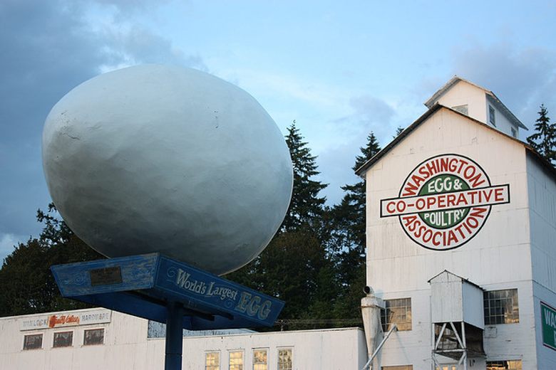 The big egg top