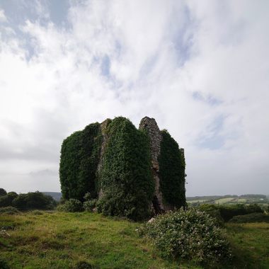 Puck's Castle