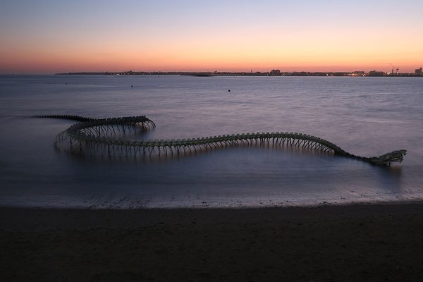 Serpent D’Océan