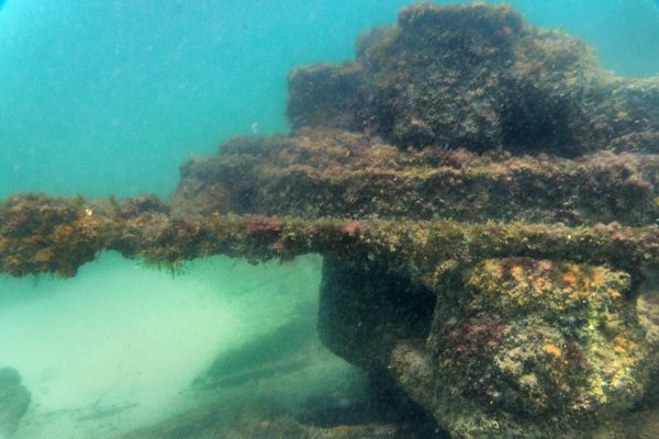 Parts of the battleship are still identifiable when diving the wreck.
