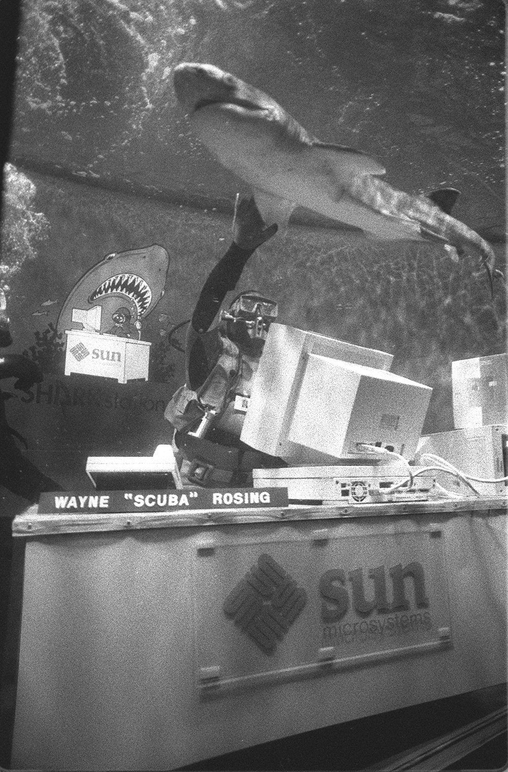 April 1, 1991: Scott McNealy had his office set up in the shark tank at the Steinhardt Aquarium in San Francisco as part of the annual Sun Microsystems April Fool's Day prank.