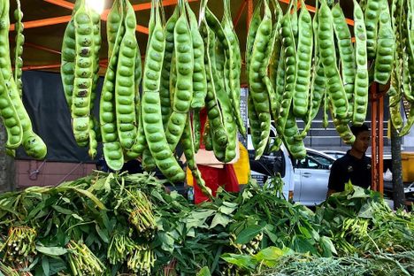 Mature petai beans.