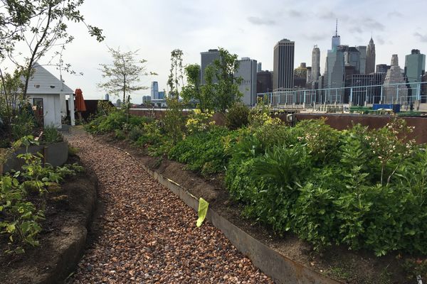 Forage for food with views of the Manhattan skyline.