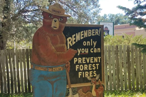 Smokey Bear's Grave in Capitan