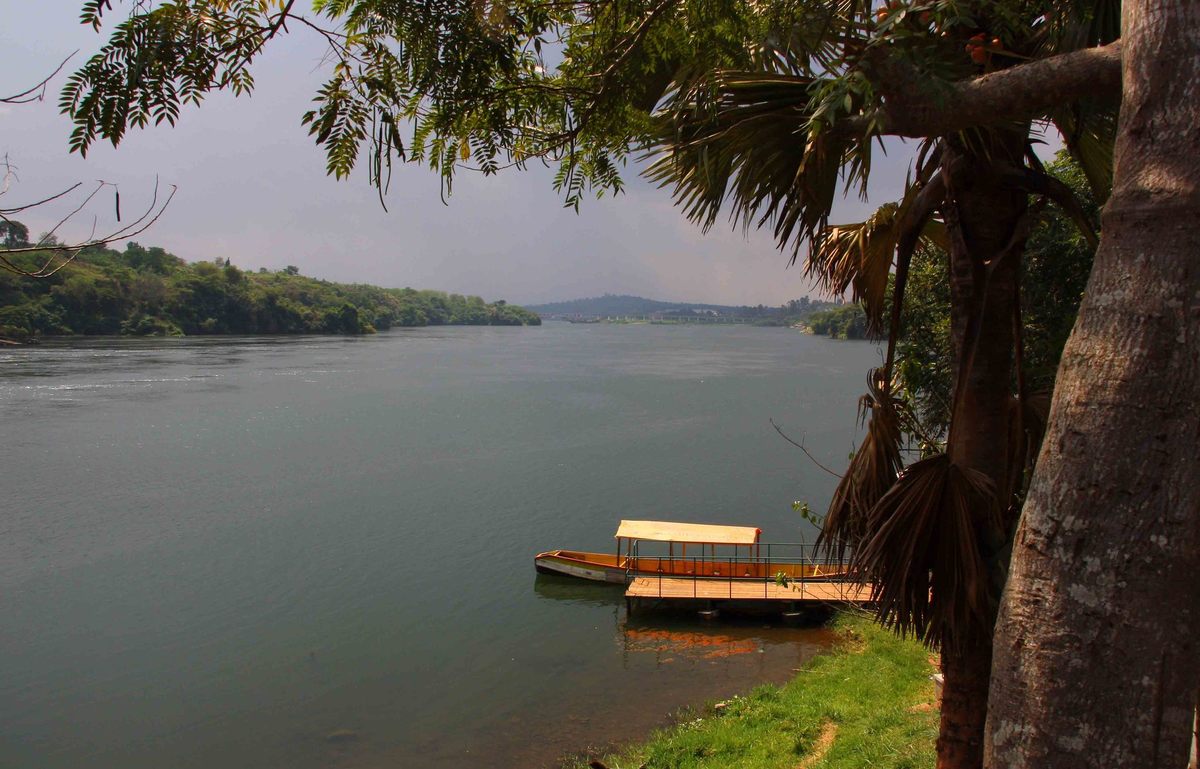 Dingoneks are said to live in the tributaries of Lake Victoria, such as the Victoria Nile, a river near Jinga, Uganda, shown here.