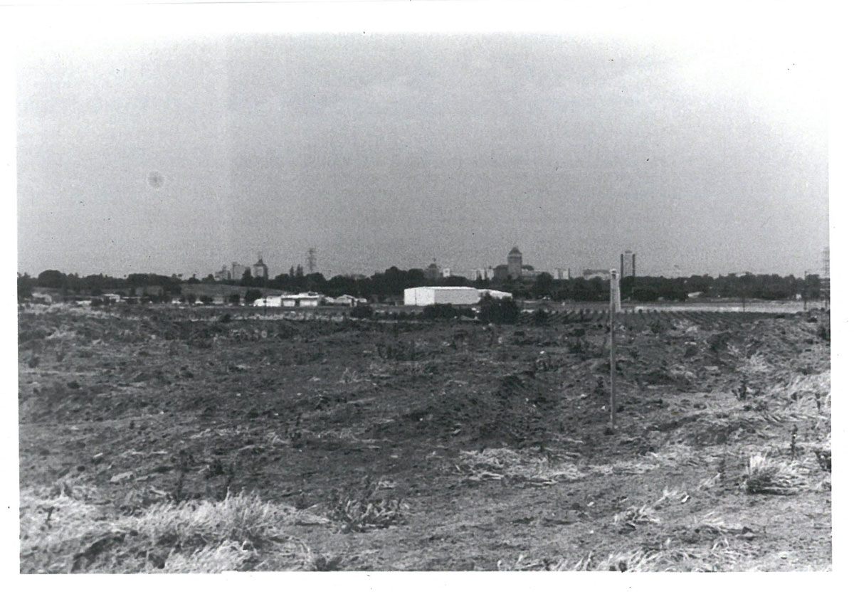 Top of the landfill mound, facing northwest toward downtown.