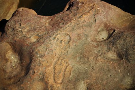 Footprints