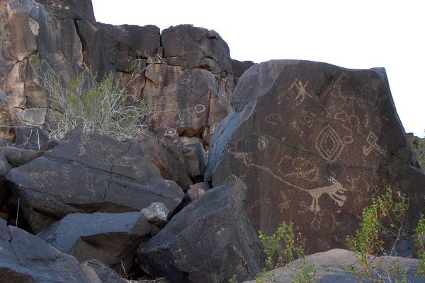 Petroglyphs at Sears Point