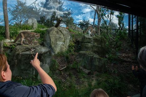 Zoo Family Sundays