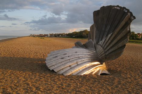 Scallop