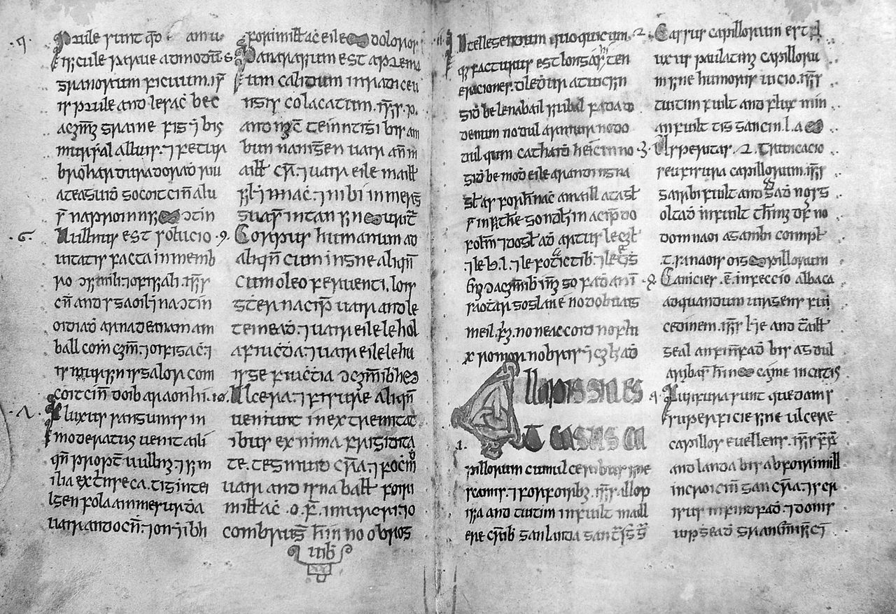 A 15th-century medical manuscript in Gaelic. No spaces here!