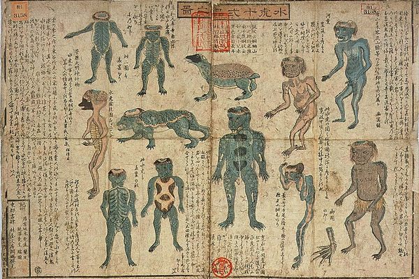 Illustrations of the 12 different types of Kappa, a water spirit who is sometimes known to haunt outhouses, from the 19th century.  