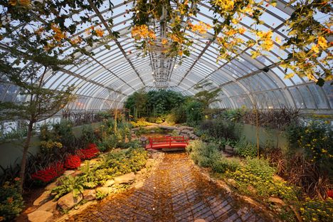 Pittsburgh's Phipps Conservatory is just one of the wondrous botanic gardens out there. 