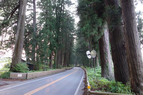 Nikkō Suginamiki, or the Cedar Avenue.