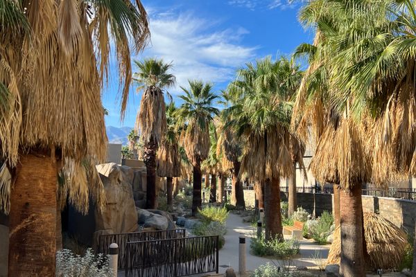 The Oasis Trail at the Agua Caliente Cultural Plaza.