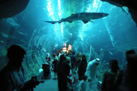 Dubai Mall Aquarium Tunnel