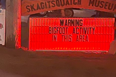Skagit-Squatch
