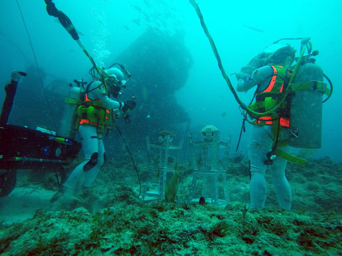 The crew simulated repairs on the habitat.