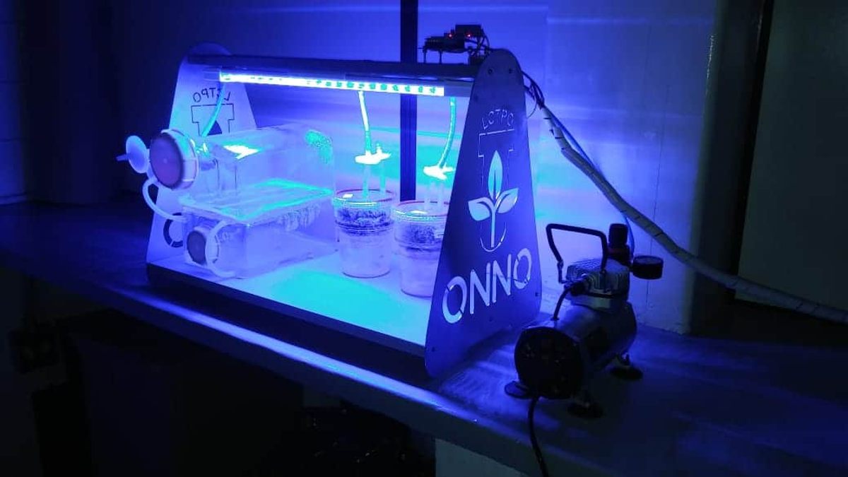 Rodrigues started experiments with ornamental plants in vertical gardens in environments with restricted lighting in 2019, using different intensities of LEDs.