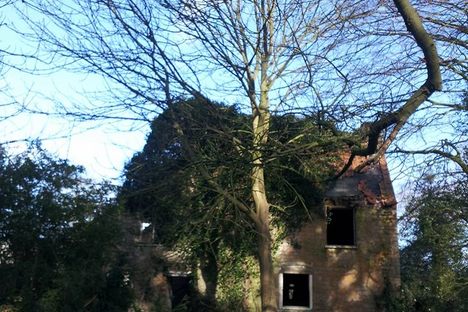 Groundskeepers house, overtaken by nature