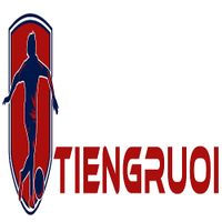 Profile image for tiengruoitvcom