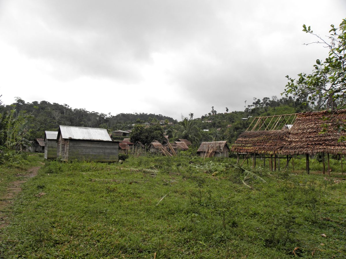 Abandoned villages like this one dot the rugged terrain of Madagascar's northeastern rainforest; residents fled from a similar settlement after an aye-aye visited, say locals.