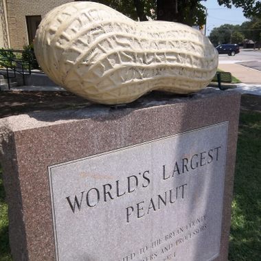 World's Largest Peanut