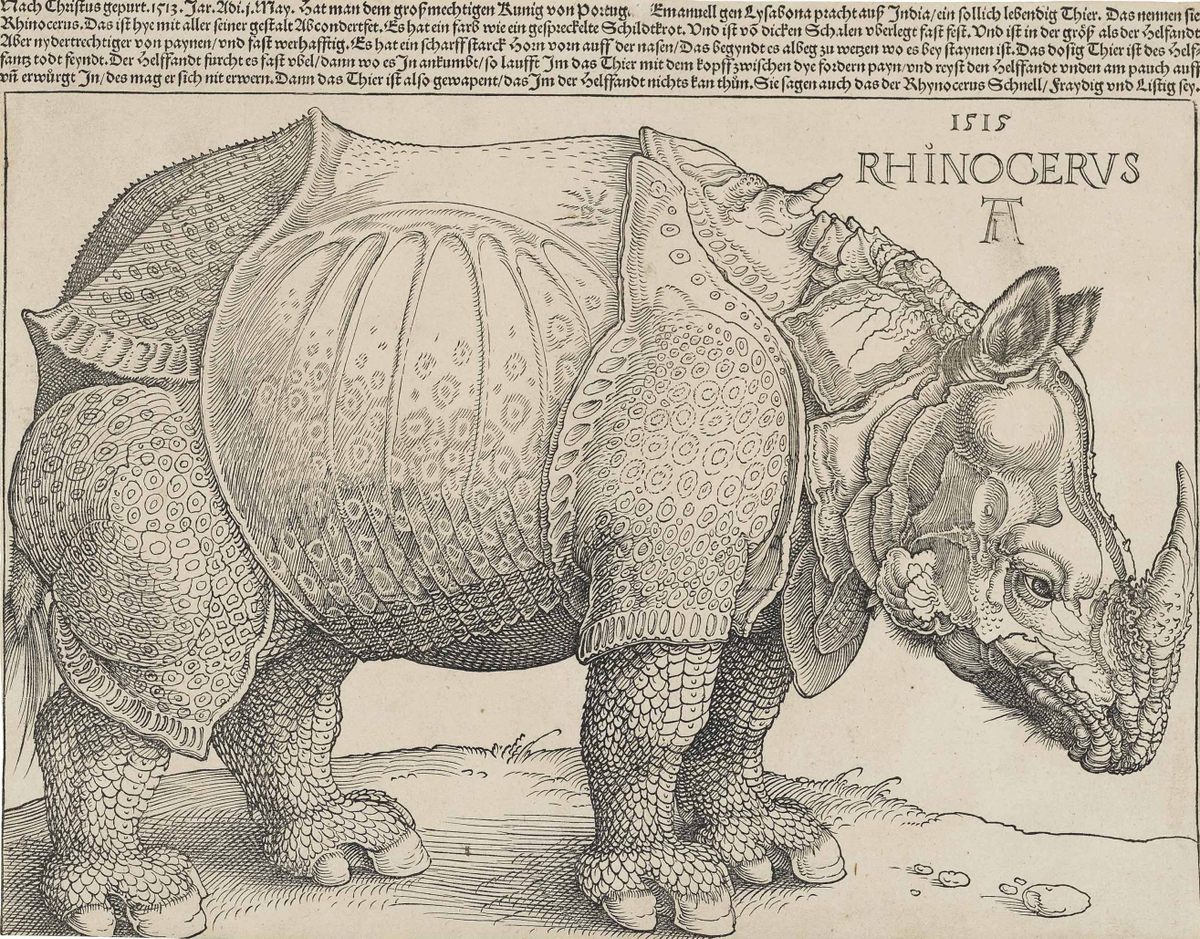 Albrecht Dürer's rhinoceros included a few fantastical features. Check out the small neck horn.