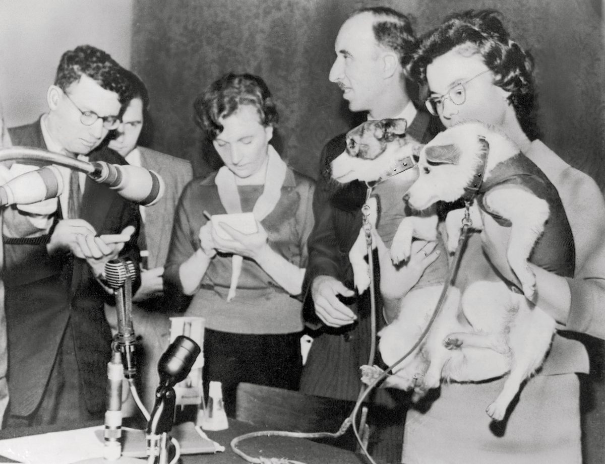 When they touched back down on Earth, Belka and Strelka were celebrities.