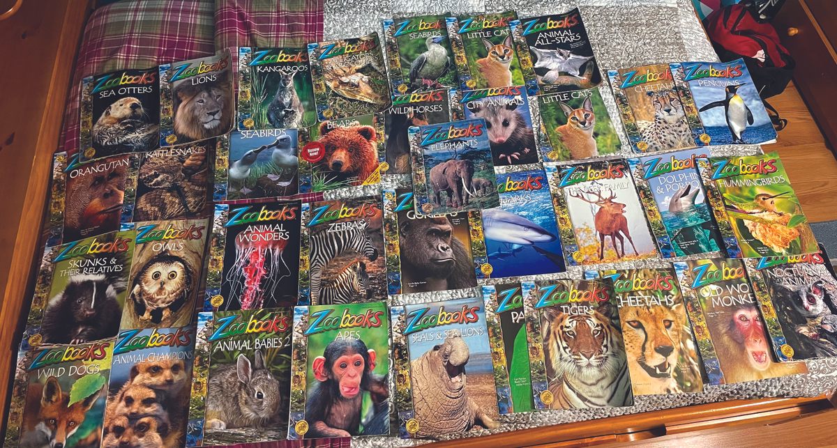As a kid, Ndiaye collected <em>Zoobooks</em>, an animal magazine for the young and the young at heart.