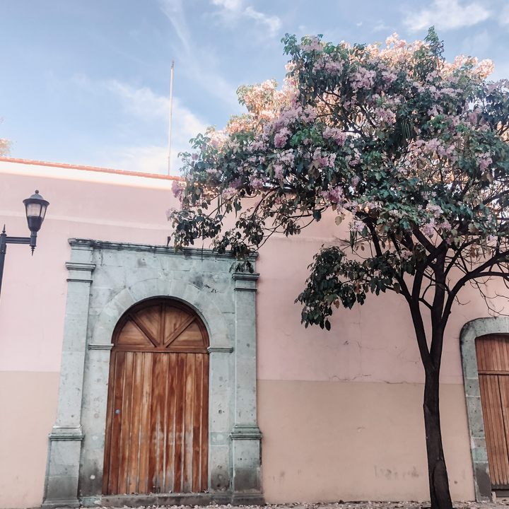 A pink house in Oaxaca.