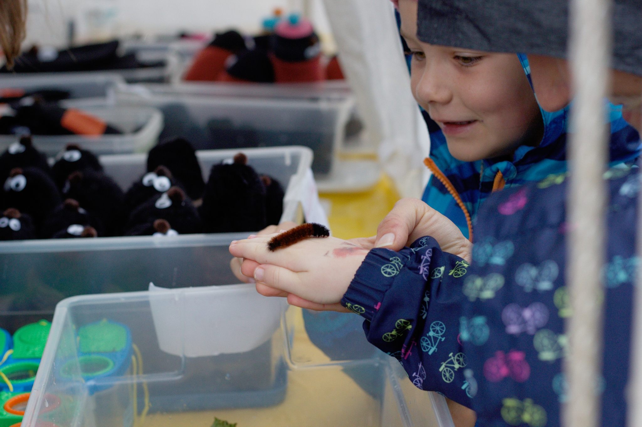 A young caterpillar enthusiast examines a furry weather-predictor.