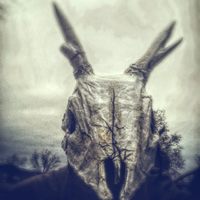Profile image for murraydeath