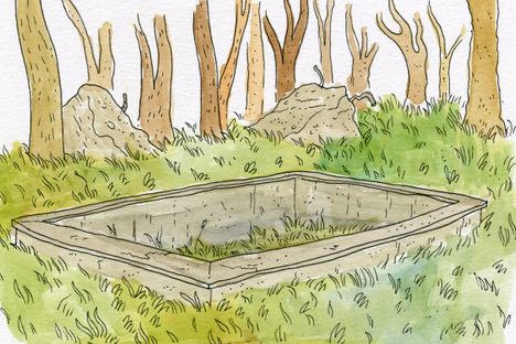 Places You Can No Longer Go: Wehrwolf Bunker