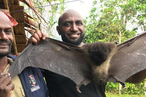 Junior Novera (right), a conservation scientist, is working with his community in Papua New Guinea to protect imperiled Bougainville monkey-faced bats and other local species.