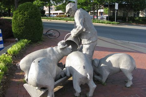 Man Slopping Pigs