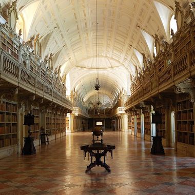Mafra Palace Library