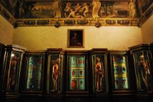 博物馆di宫殿Poggi解剖展览