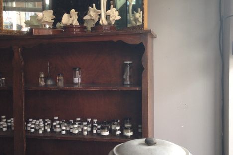 Various bones and vials