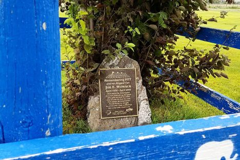 The burial site of Old Pitt, the elephant.
