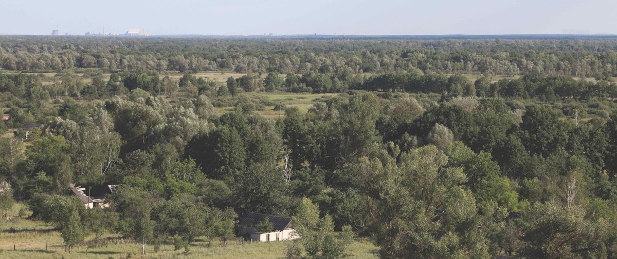 A view of the Belarus Reserve from a fire tower shows the Chernobyl Nuclear Power Plant at top left.