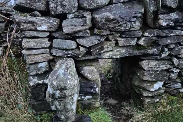 A face in situ!
