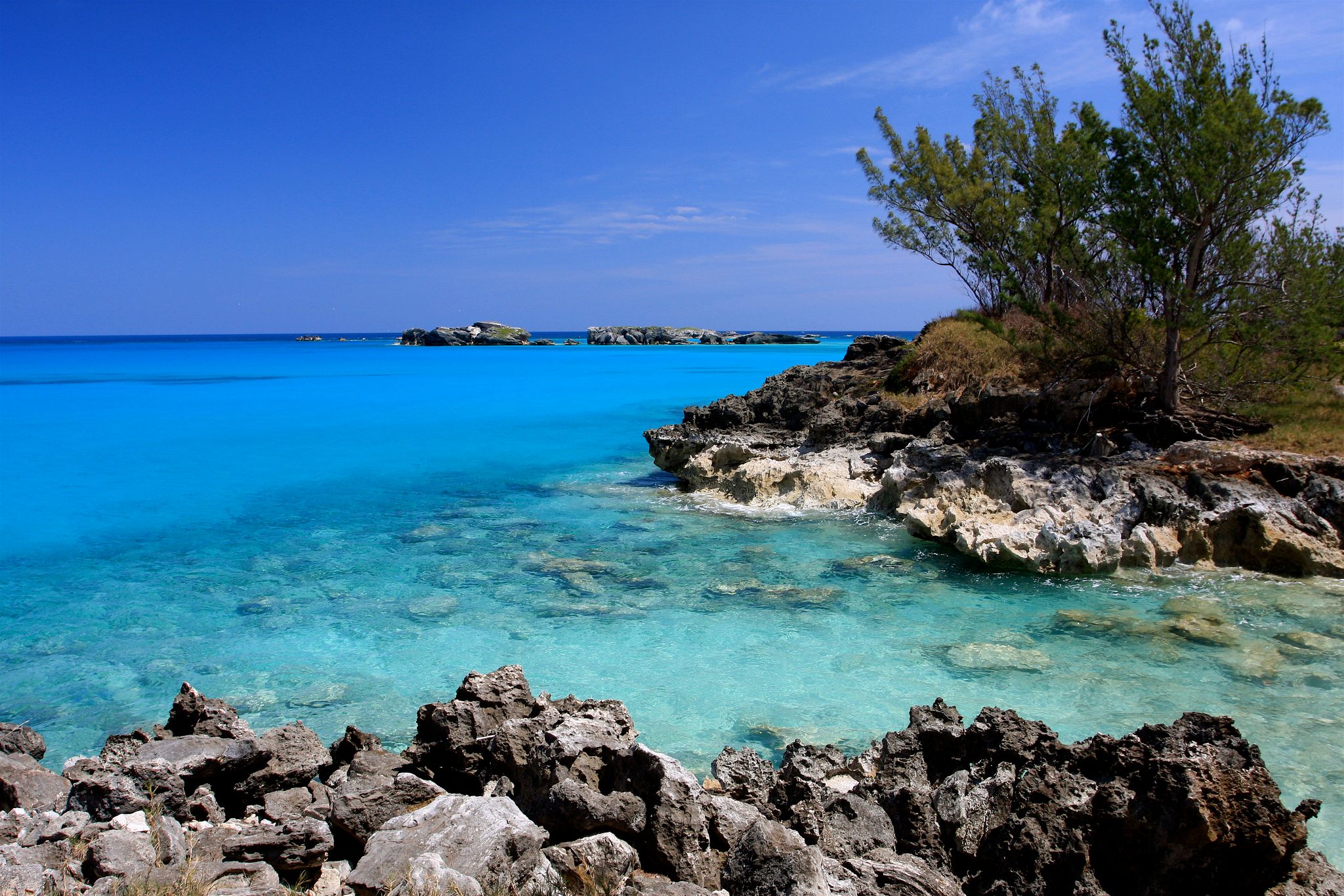 Cooper's Island Nature Reserve - Bermuda
