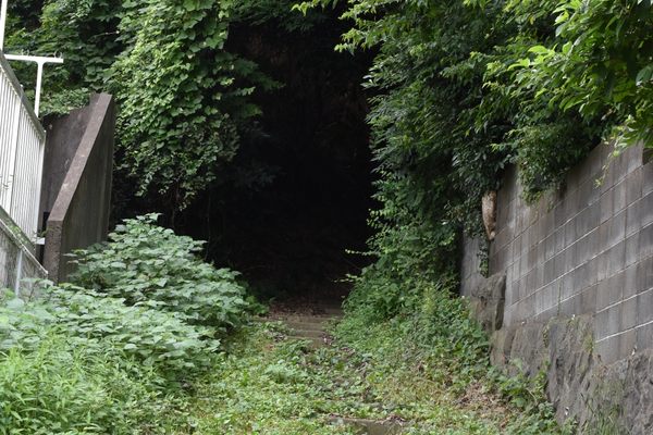 The entrance is overgrown and largely hidden.