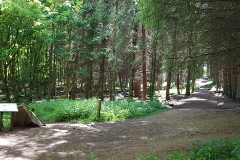 Dechmont UFO Monument and Trail