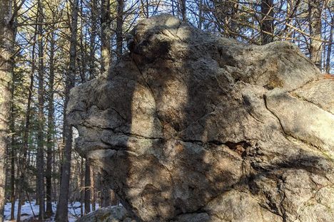 Frock Rock's face viewed from the profile