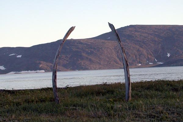Whale Bone Alley