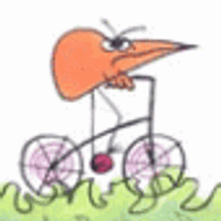 Profile image for nuitsblanches