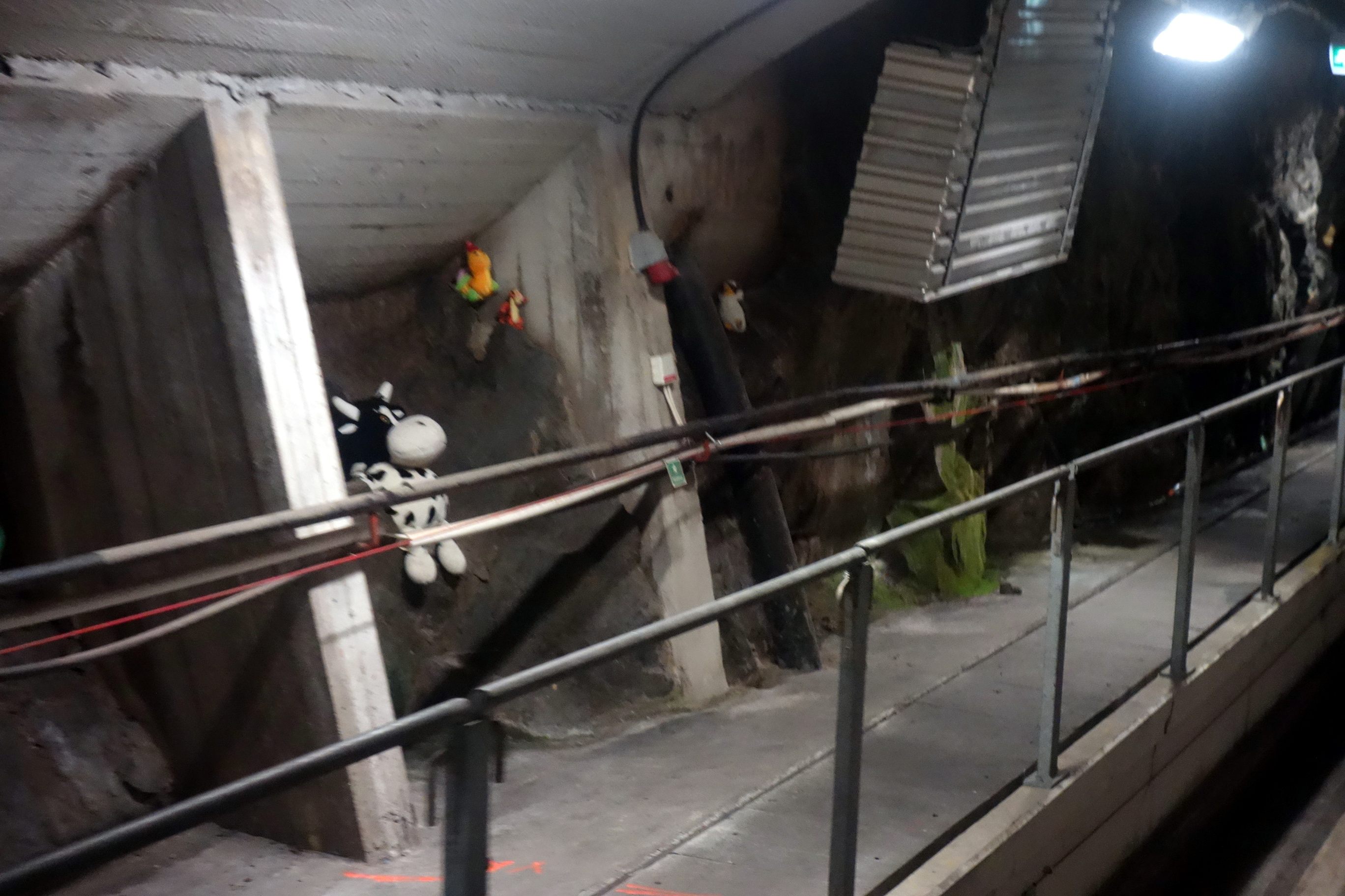 Some of the toys "living" in the tunnel