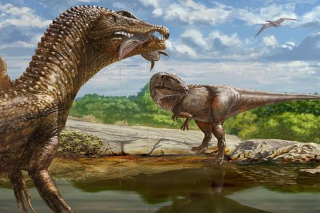In Egypt's ‘Land of Death,’ Dinosaurs Were Supersized—and Hungry